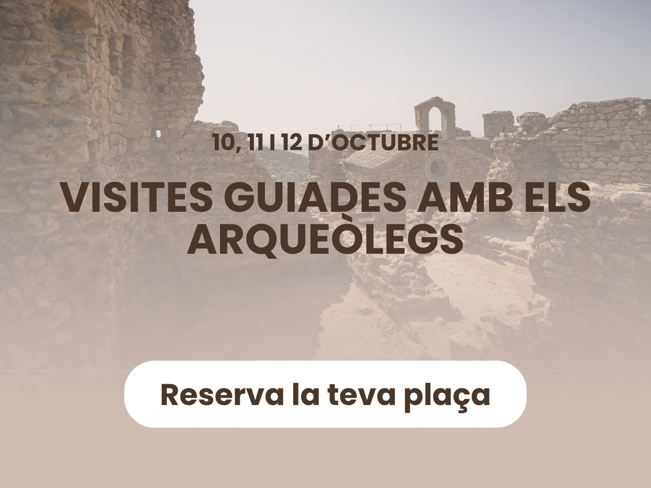 VISITES ARQUE