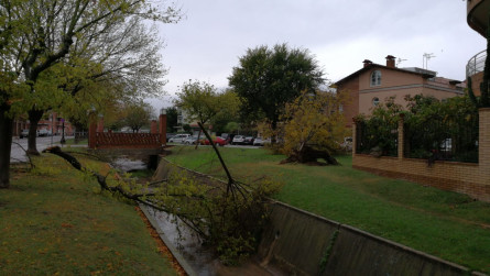 Desperfectes temporal 22 d'octubre 2019