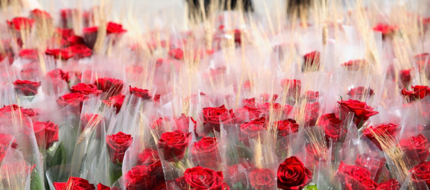 miniatura sant jordi