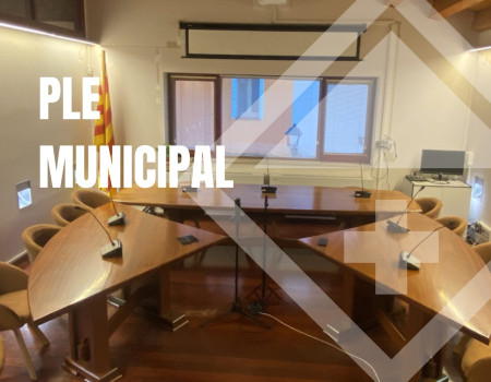 PLE MUNICIPAL WEB