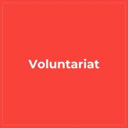 Voluntariat.jpg